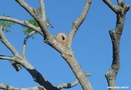 Dsc00782_2.jpg
92,15 KB 
