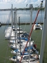 Img_7812.jpg

227,46 KB 
750 x 1000 
23/9/2005
