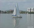acalantho2.jpg
94,02 KB 
