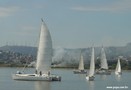 barcos2.jpg
69,08 KB 
