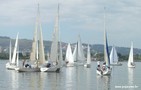barcos5.jpg
83,18 KB 
