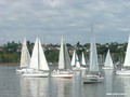 barcos6.jpg
93,16 KB 
