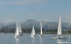 barcos.jpg
54,90 KB 
