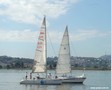cestlavie2.jpg
82,78 KB 
